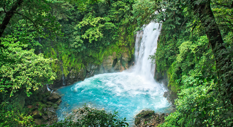 nicko cruises Mittelamerika Costa Rica Wasserfall Dschungel.jpg