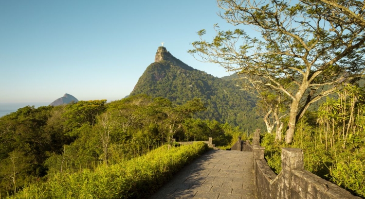 Brasilien Rio Tijuca nationalpark Foto iStock Miolajn